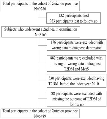 The multimorbidity association of metabolic syndrome and depression on type 2 diabetes: a general population cohort study in Southwest China